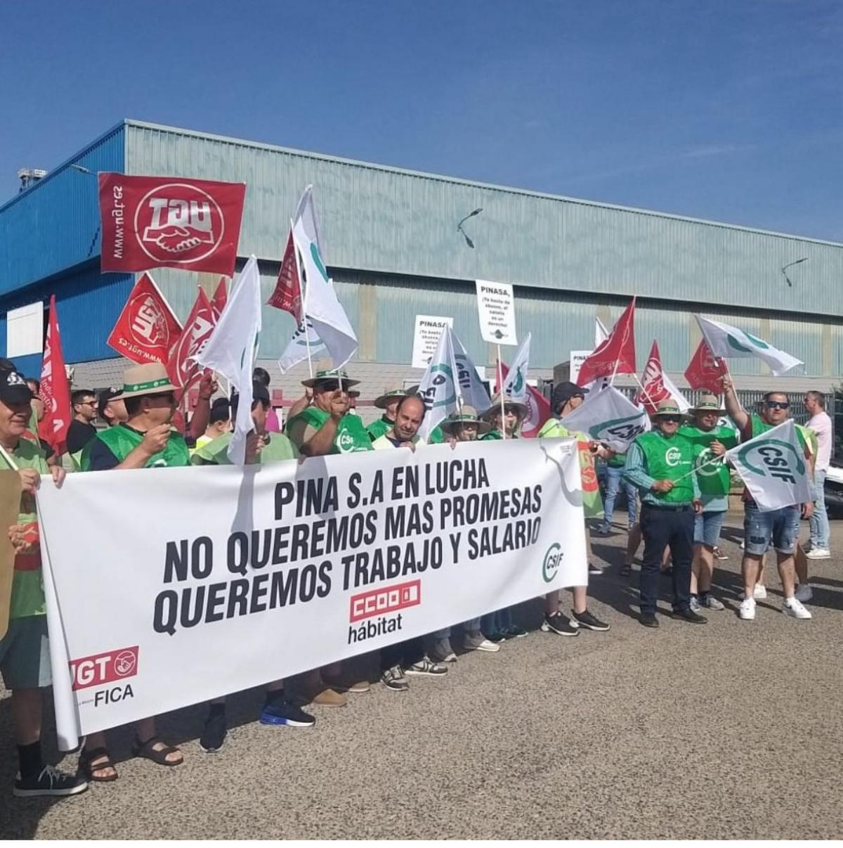 Los sindicatos del comité de empresa de Pinasa han informado esta mañana a la subdelegada del Gobierno de la situación