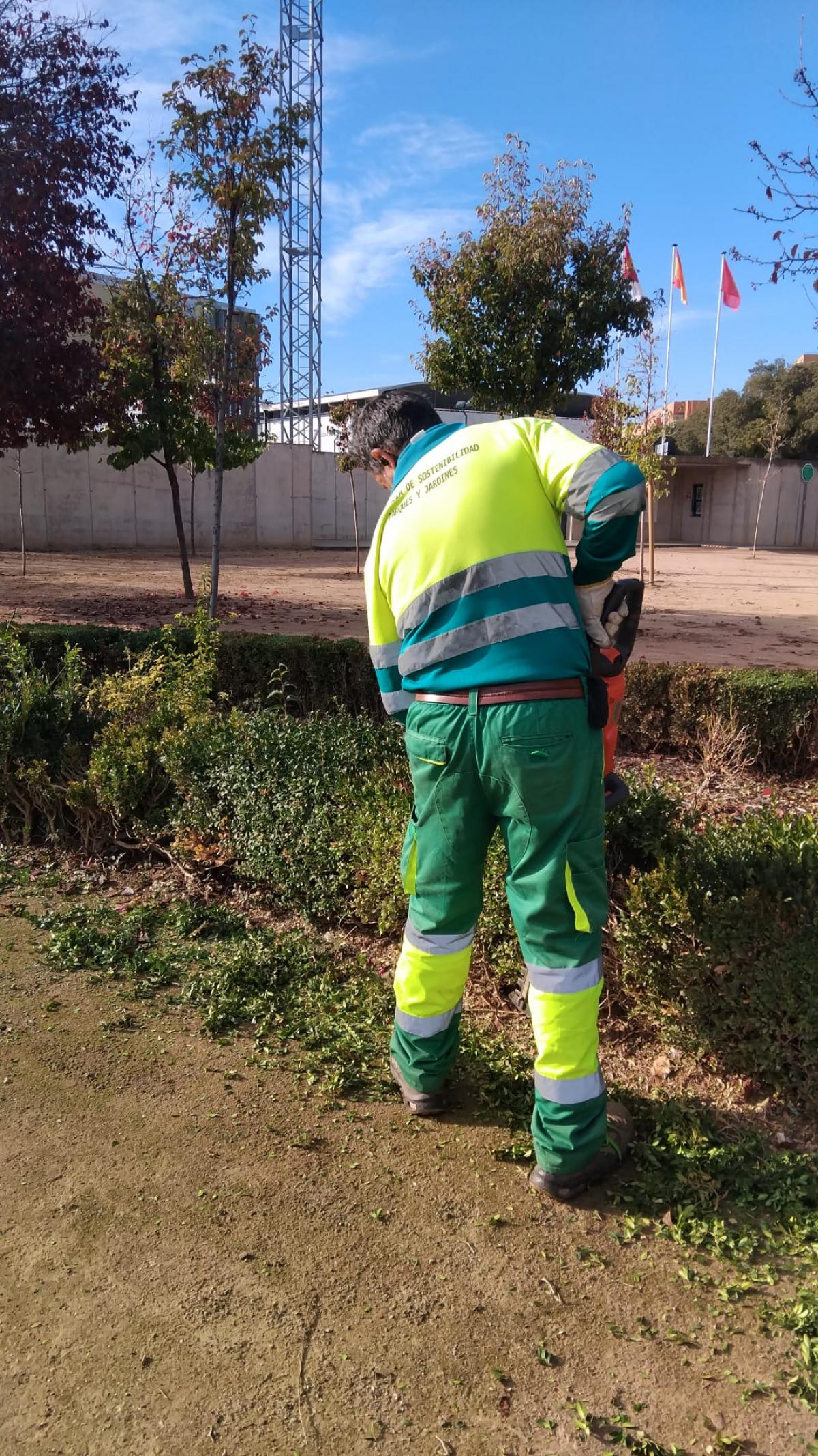CCOO gana las elecciones en la empresa del servicio de mantenimiento de zonas verdes en Ciudad Real capital