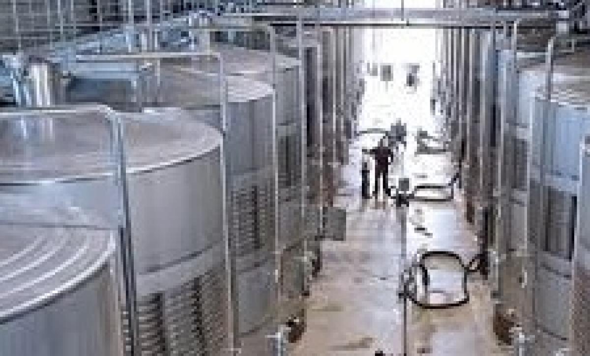 Industria vinícola