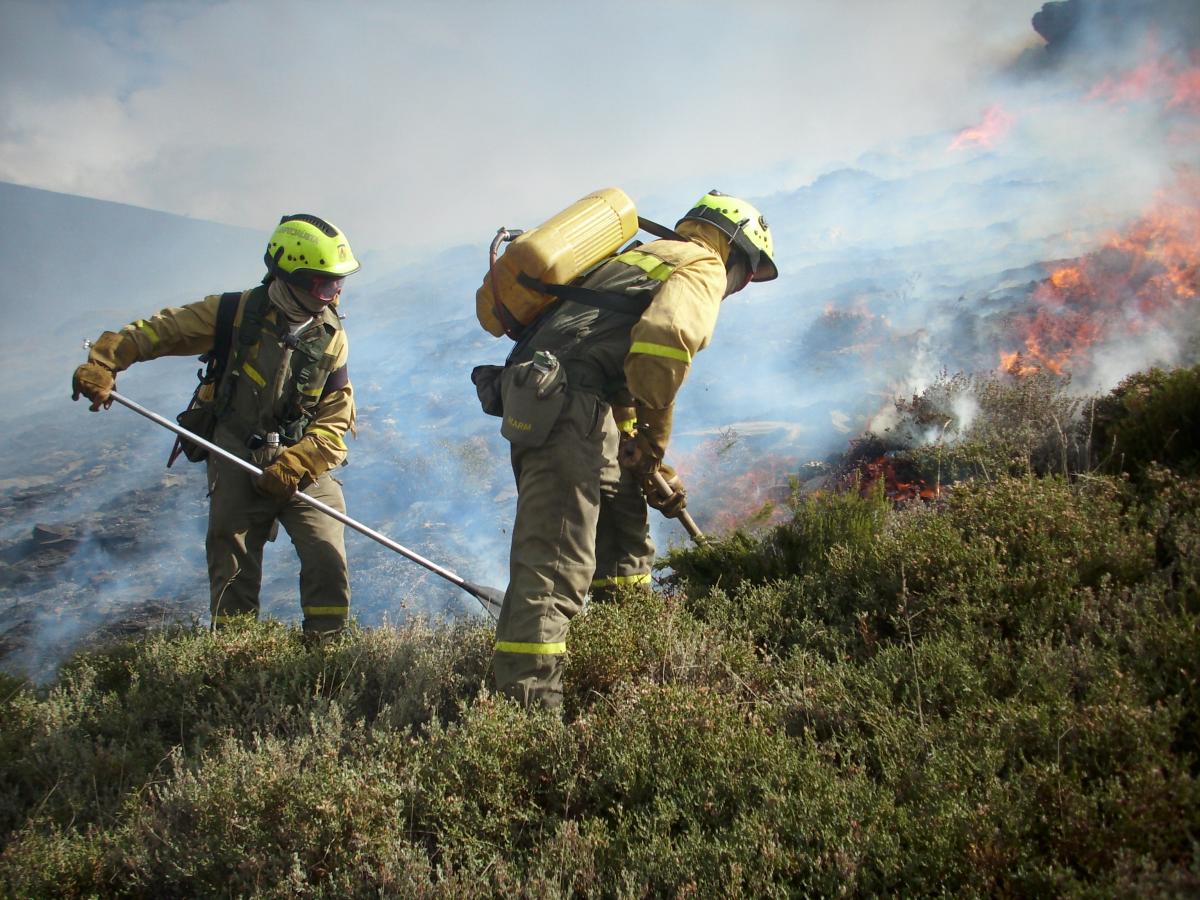 Labores de extincin de un incendio forestal