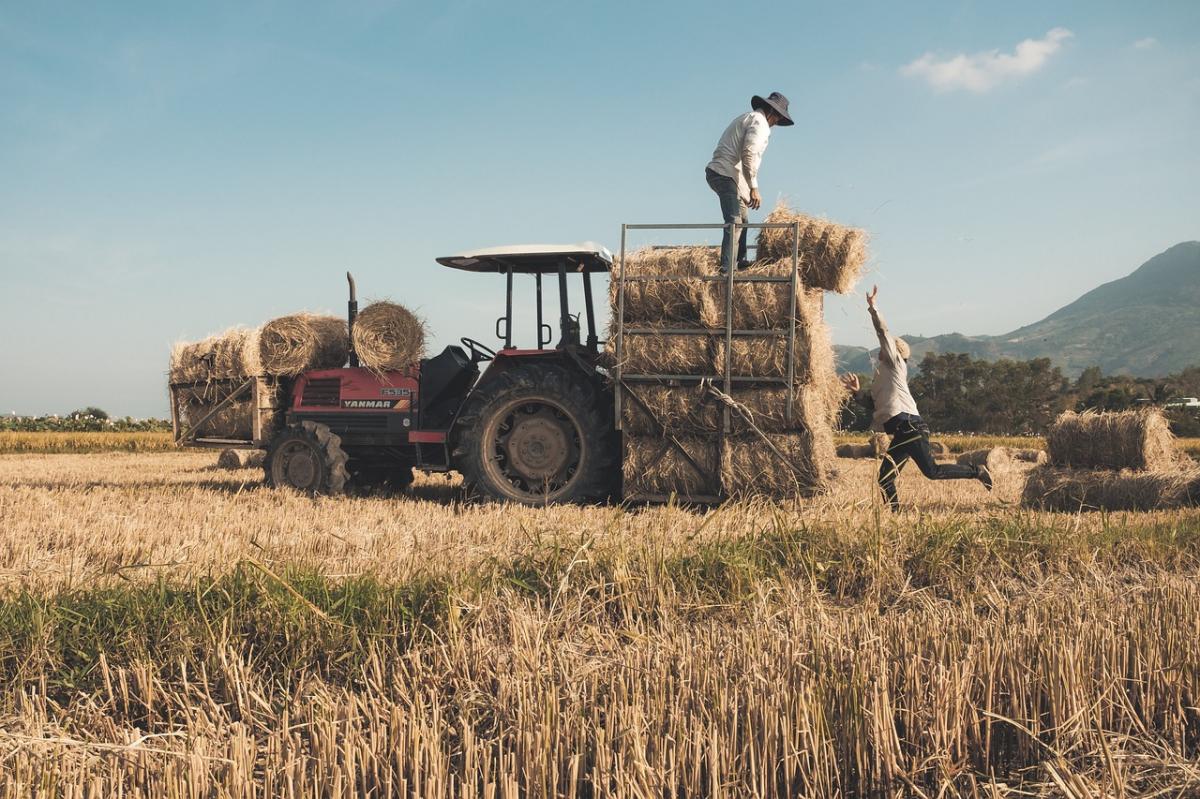 Trabajadores del campo