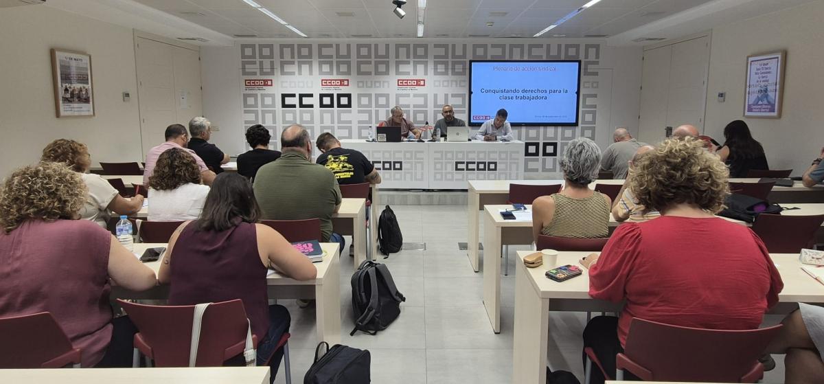 Plenario de Accin Sindical CCOO CLM