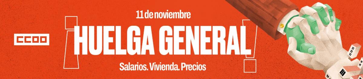 Huelga general 11N