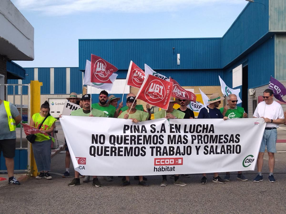 Concentracin de la plantilla de PINASA en Cuenca