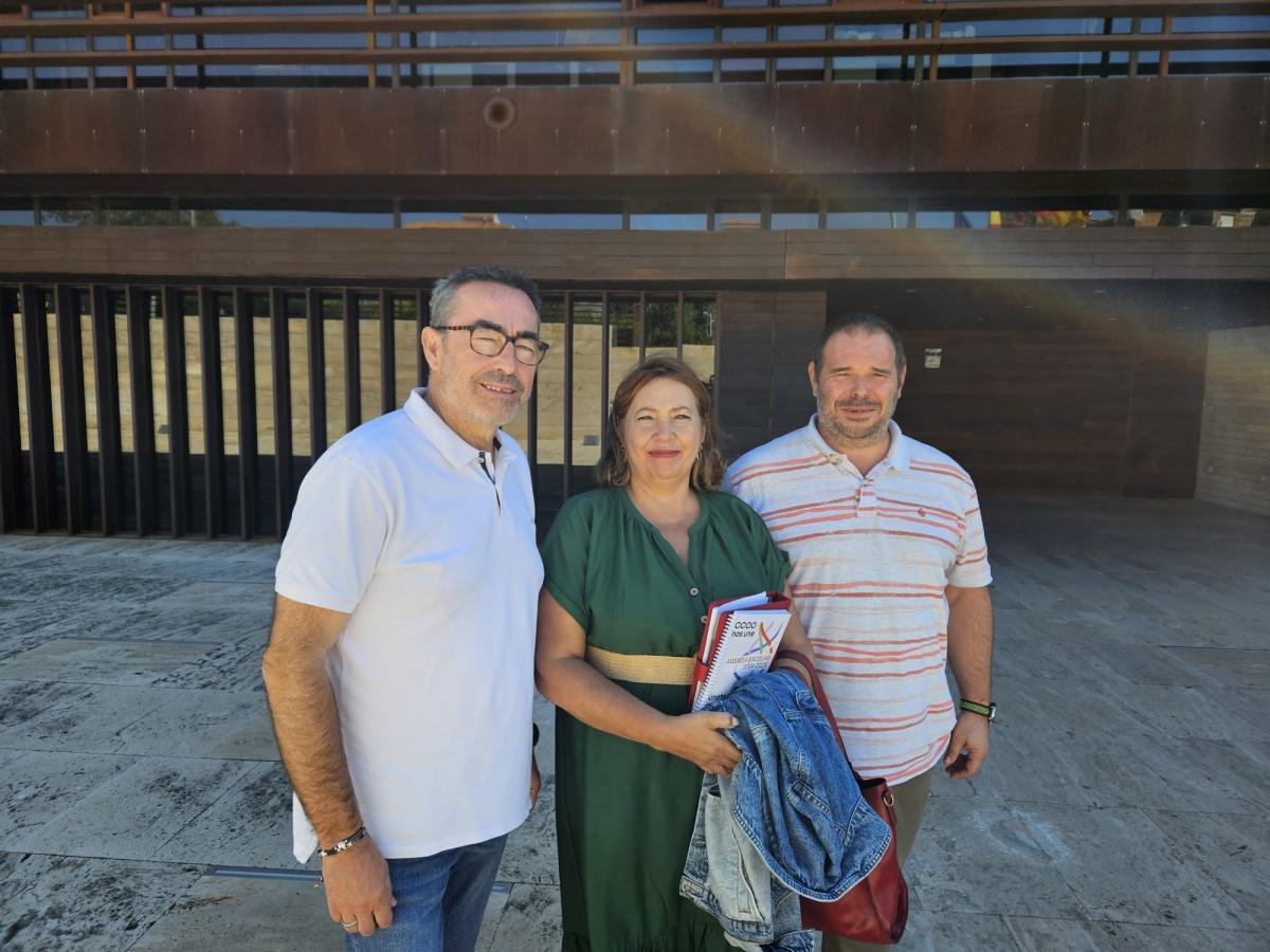 Paco de la Rosa, Ana Delgado y Antonio Romero tras la reunin con la Consejera de Bienestar Social sobre la Orden del concierto social de menores de CLM