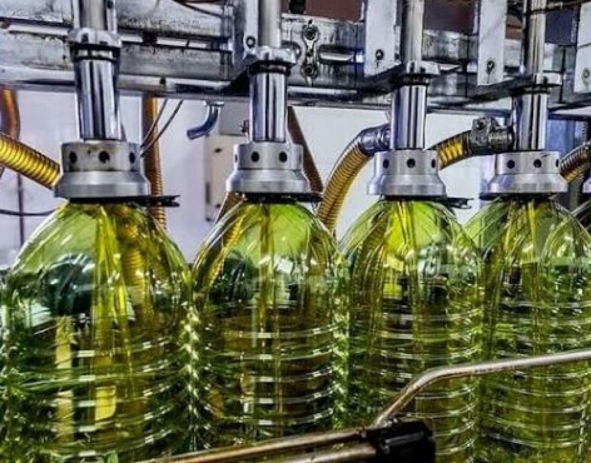 El sector de aceites y derivados da empleo a alrededor de 1.000 personas en Ciudad Real