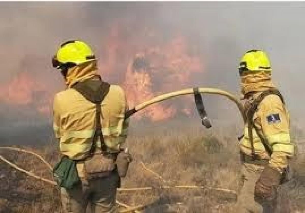 Geacam ha eliminado las bolsas de bomberos que ya había para la campaña de este año